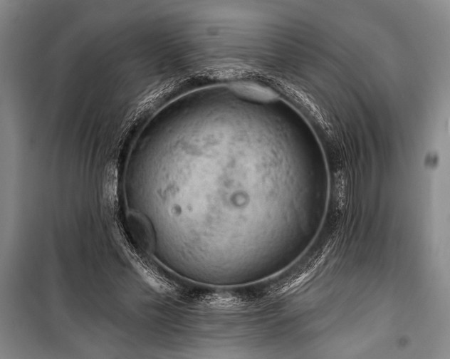 X0000101140589200806270921