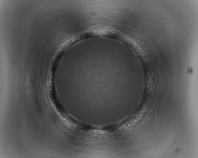 X0000101140590200806270921