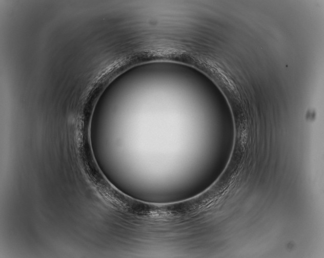 X0000101140591200806270921