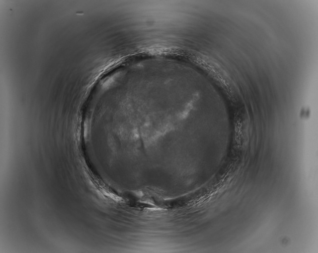 X0000101140592200806270921