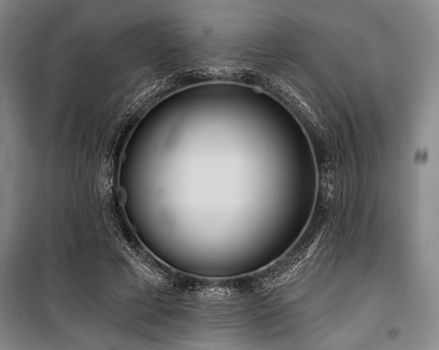 X0000101140593200806270921