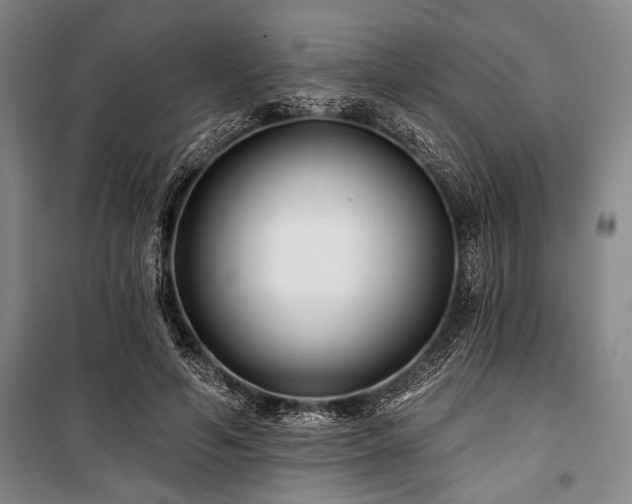 X0000101140594200806270921