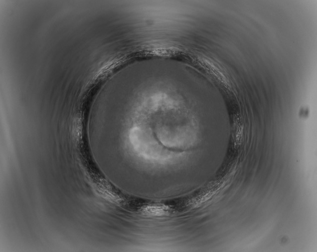 X0000101140595200806270921