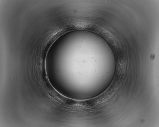 X0000101140596200806270921