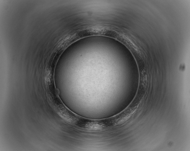 X0000101140597200806270921