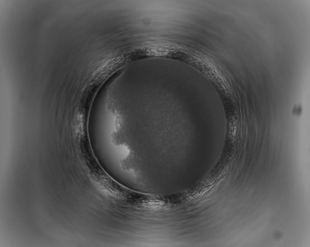 X0000101140598200806270921