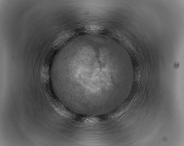 X0000101140599200806270921