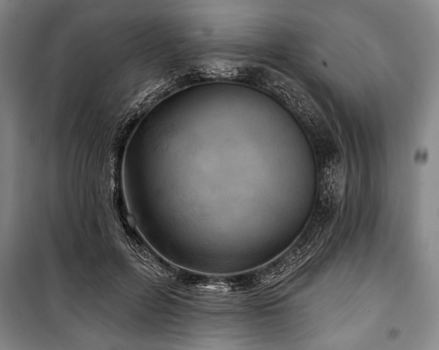 X0000101140600200806270921