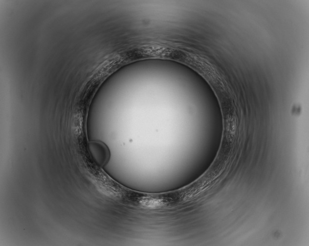 X0000101140602200806270921