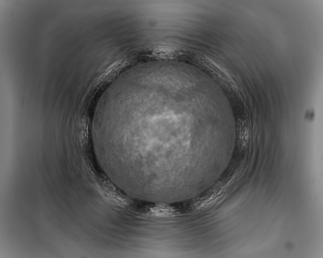 X0000101140603200806270921