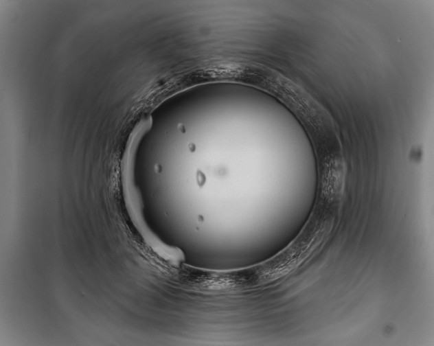 X0000101140604200806270921