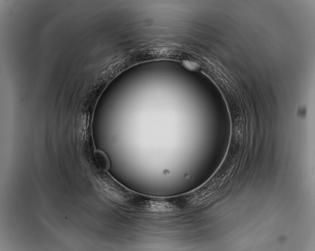 X0000101140605200806270921