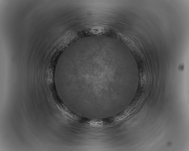 X0000101140606200806270921