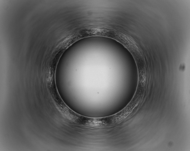 X0000101140607200806270921