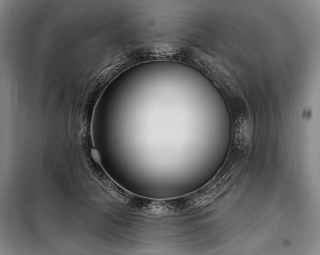 X0000101140608200806270921