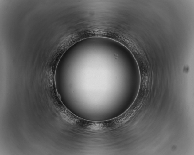 X0000101140609200806270921