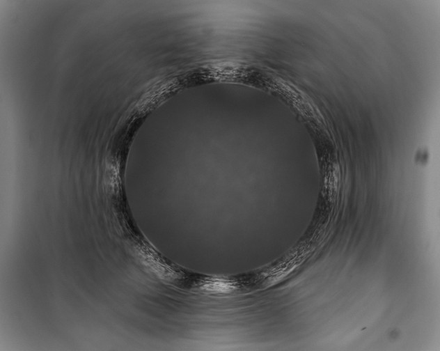 X0000101140610200806270921