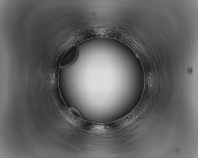 X0000101140611200806270921