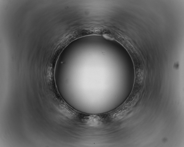 X0000101140612200806270921