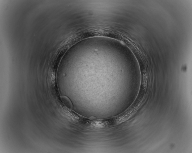 X0000101140613200806270921