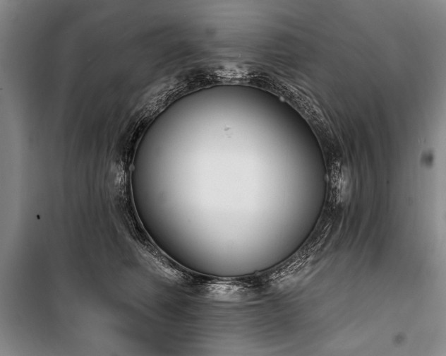 X0000101140614200806270921