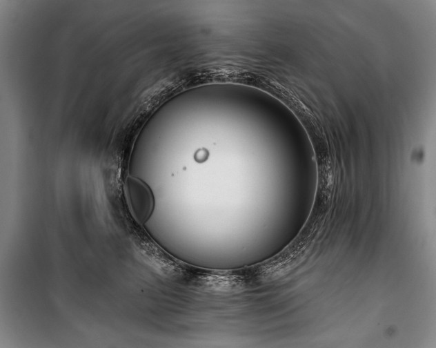 X0000101140615200806270921