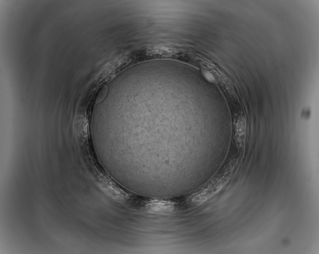 X0000101140617200806270921