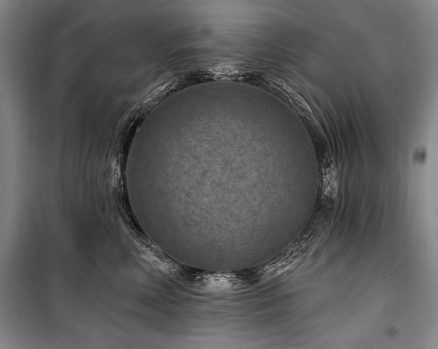 X0000101140618200806270921