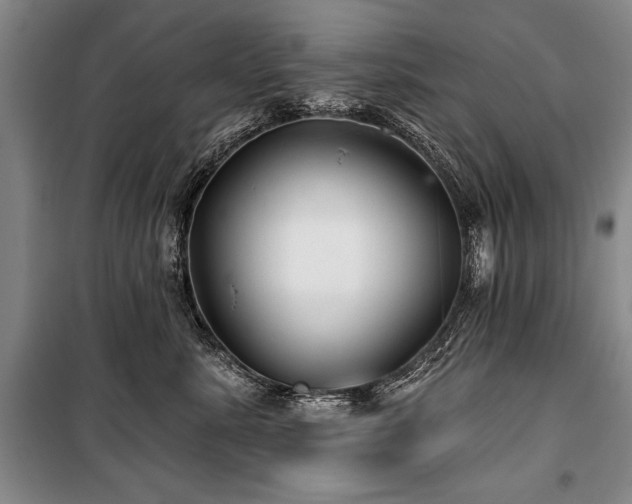 X0000101140619200806270921