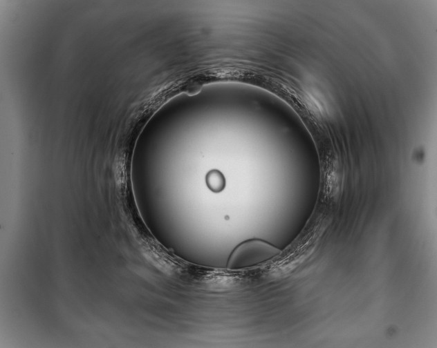 X0000101140620200806270921