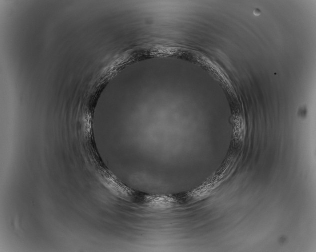 X0000101140621200806270921