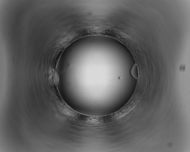 X0000101140624200806270921