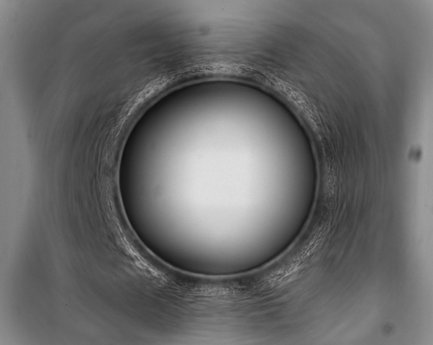 X0000101140625200806270920