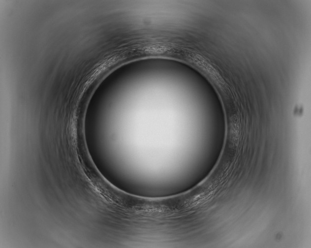 X0000101140626200806270920