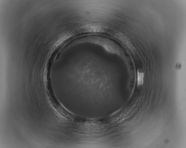 X0000101140627200806270920