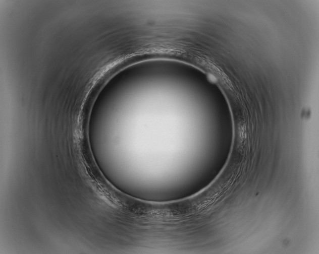 X0000101140628200806270920