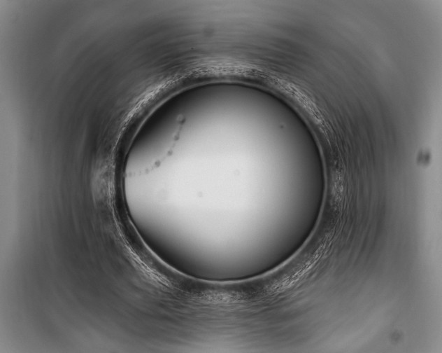 X0000101140629200806270920