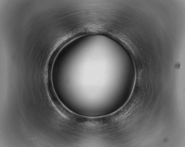 X0000101140630200806270920