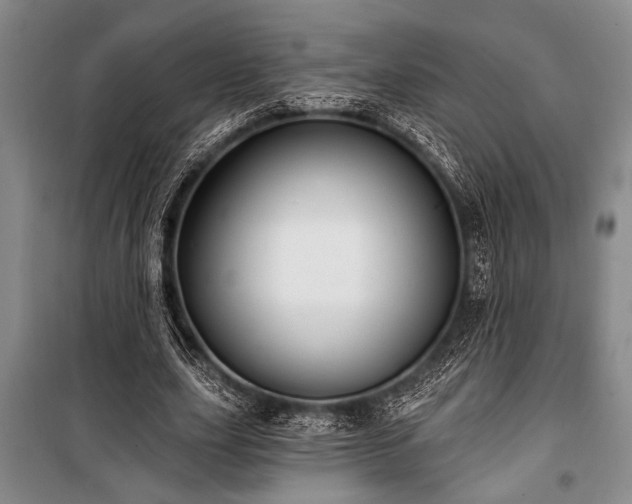 X0000101140631200806270920