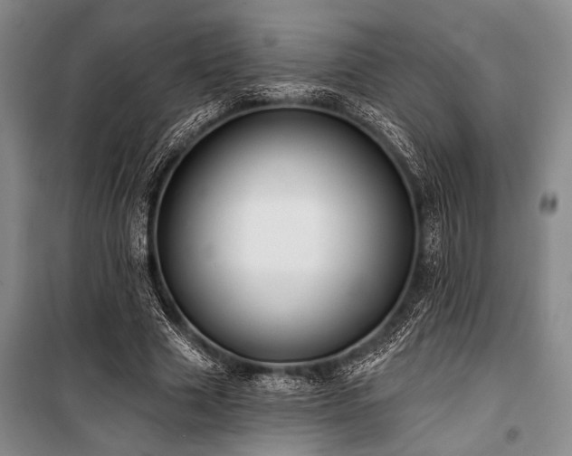 X0000101140633200806270920