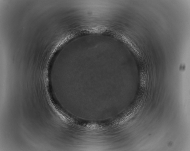 X0000101140634200806270920