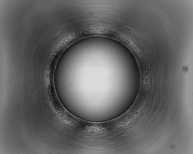 X0000101140635200806270920