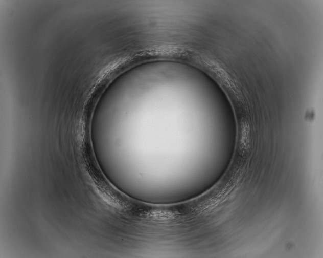 X0000101140636200806270920