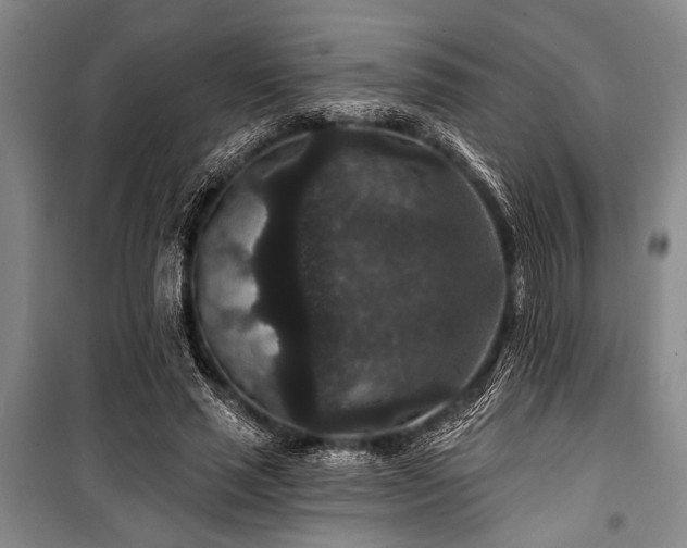 X0000101140637200806270920