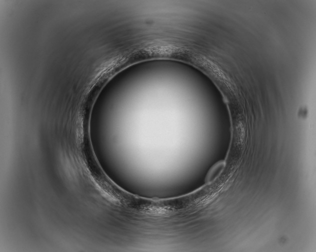 X0000101140638200806270920