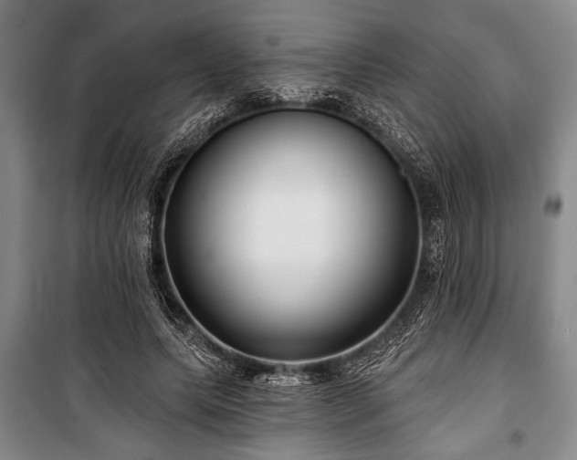 X0000101140639200806270920