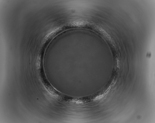 X0000101140640200806270920