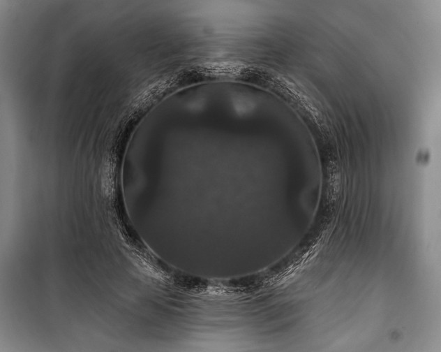 X0000101140641200806270920