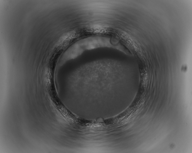 X0000101140643200806270920