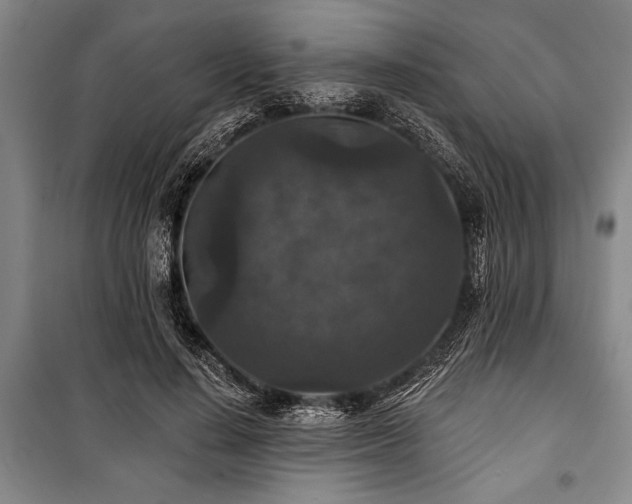 X0000101140644200806270920